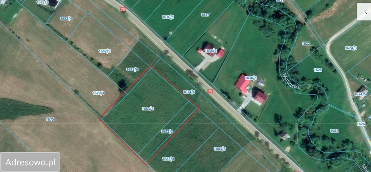 Działka rolno-budowlana Tylicz, ul. Konfederatów Barskich. Zdjęcie 5