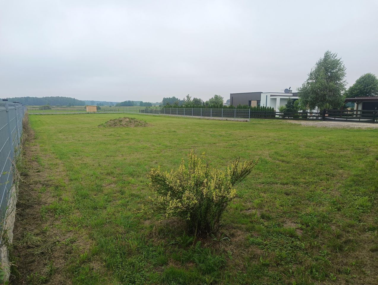 Działka budowlana Jagodnica. Zdjęcie 4