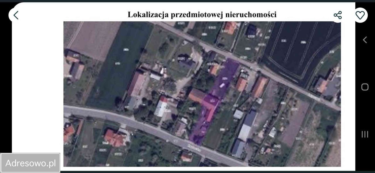 gospodarstwo Gniechowice, ul. Kątecka. Zdjęcie 4