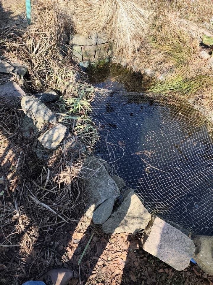 Działka rod Słupsk. Zdjęcie 7