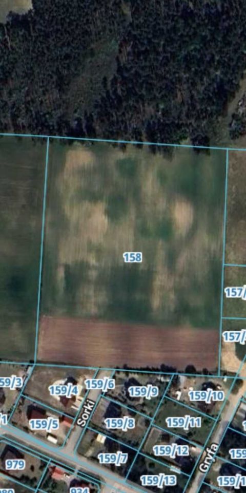 Działka budowlana Kalisz, ul. Sorki. Zdjęcie 3