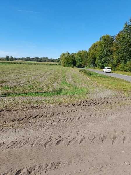Działka budowlana Jadwiżyn. Zdjęcie 7