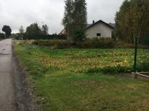 Działka budowlana Topolów, ul. Częstochowska. Zdjęcie 2