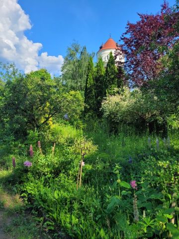 Działka rekreacyjna Inowrocław, ul. aleja Ratuszowa. Zdjęcie 1