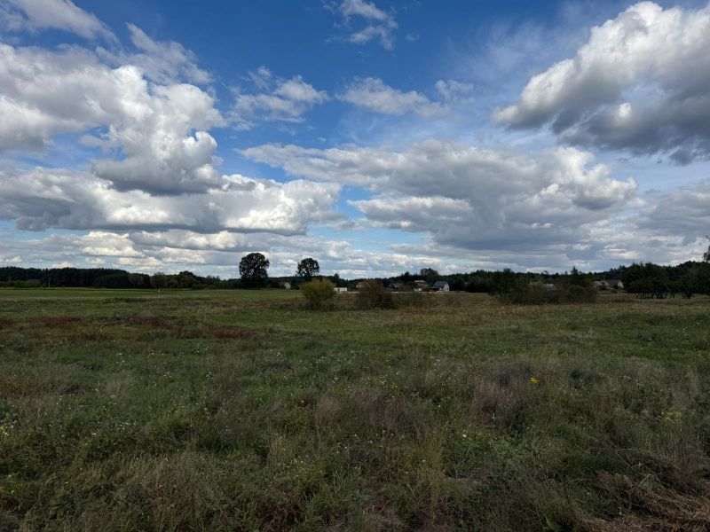 Działka rolno-budowlana Gorzewo. Zdjęcie 6