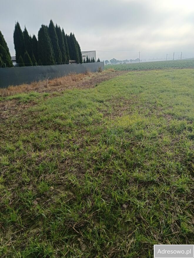 Działka budowlana Piotrówek. Zdjęcie 2