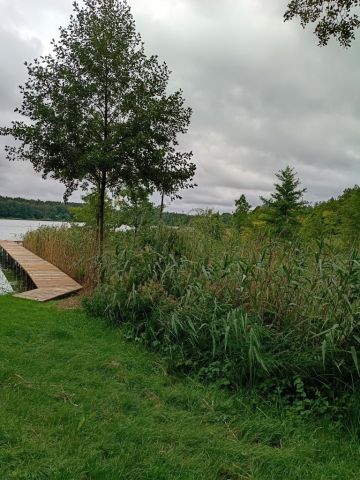 Działka budowlana Głuszynek. Zdjęcie 1