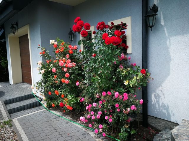 dom wolnostojący, 5 pokoi Bartoszyce, ul. Poprzeczna. Zdjęcie 45