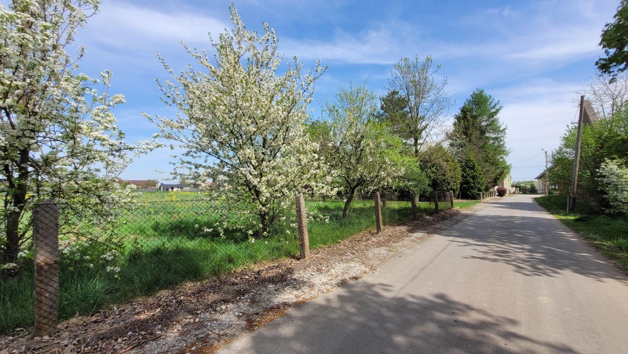 Działka rolno-budowlana Michałów. Zdjęcie 6