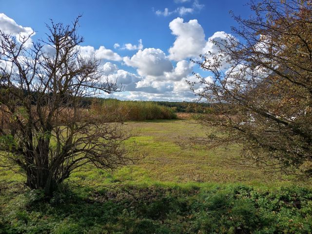 Działka rolno-budowlana Pruska Łąka. Zdjęcie 1