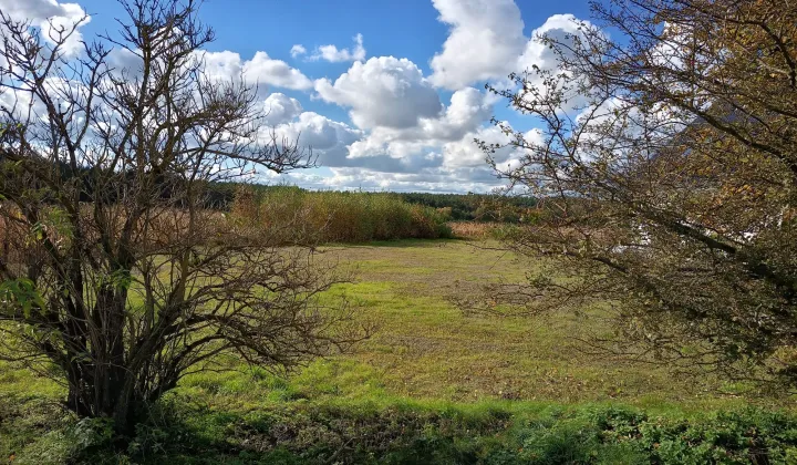 Działka rolno-budowlana Pruska Łąka