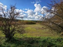 Działka rolno-budowlana Pruska Łąka