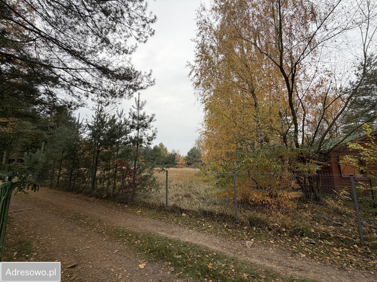 Działka rekreacyjna Zygmuntowo. Zdjęcie 2