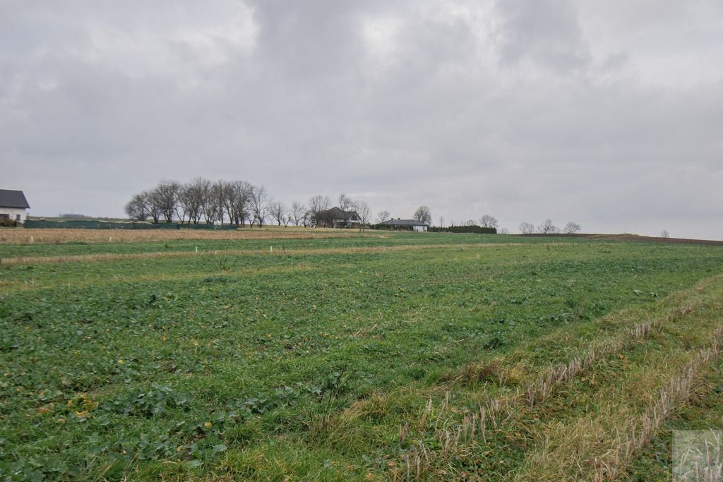 Działka budowlana Morawsko. Zdjęcie 12