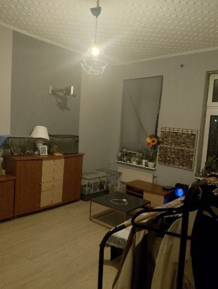 Mieszkanie 2-pokojowe Szczecin Centrum. Zdjęcie 2