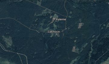 Działka leśna Ciechocin