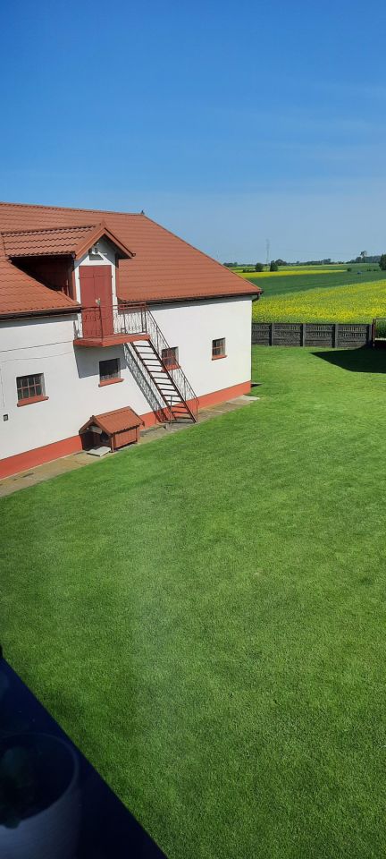 gospodarstwo, 6 pokoi Kopy. Zdjęcie 6