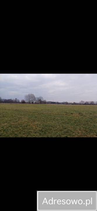 Działka rolno-budowlana Soboklęszcz. Zdjęcie 2