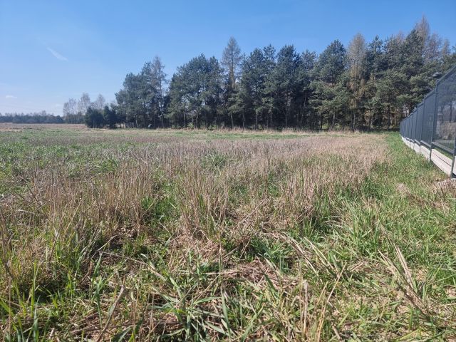 Działka rolno-budowlana Jarząbkowice. Zdjęcie 3