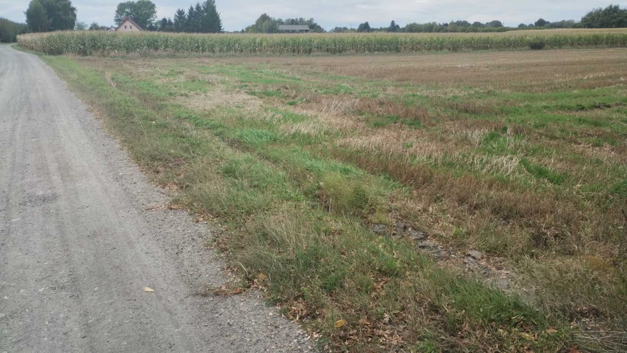 Działka siedliskowa Trębaczów. Zdjęcie 4