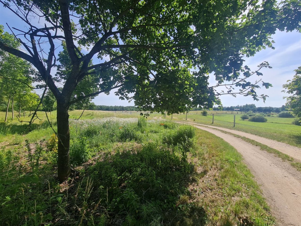 Działka rolna Miłomłyn, ul. Iławska. Zdjęcie 7