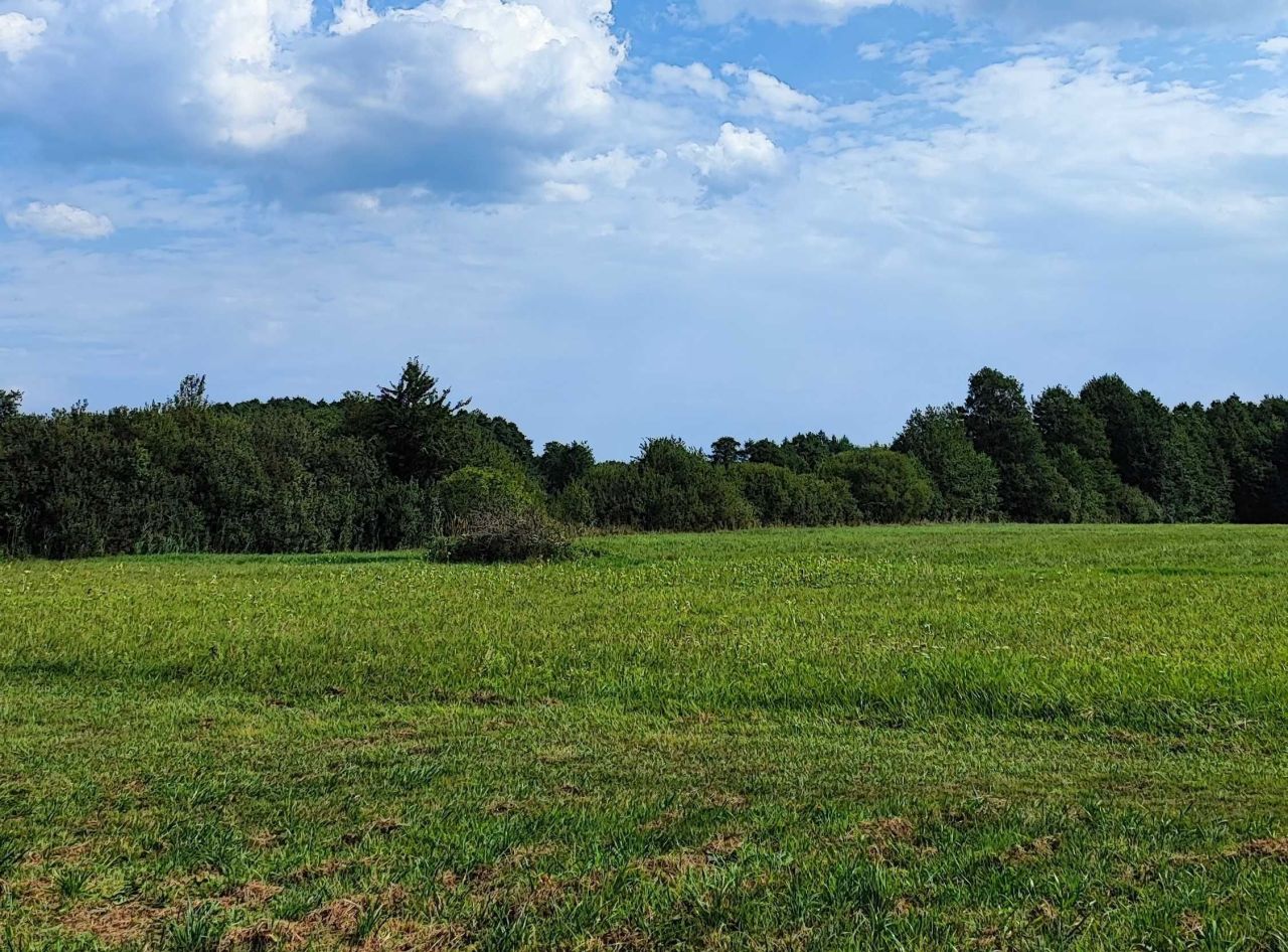 Działka rolna Stare Kiełbonki. Zdjęcie 8