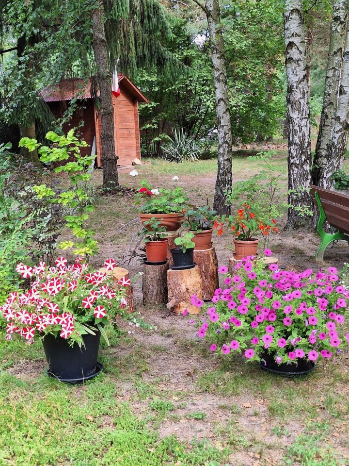 Działka rolno-budowlana Wytyczno. Zdjęcie 4