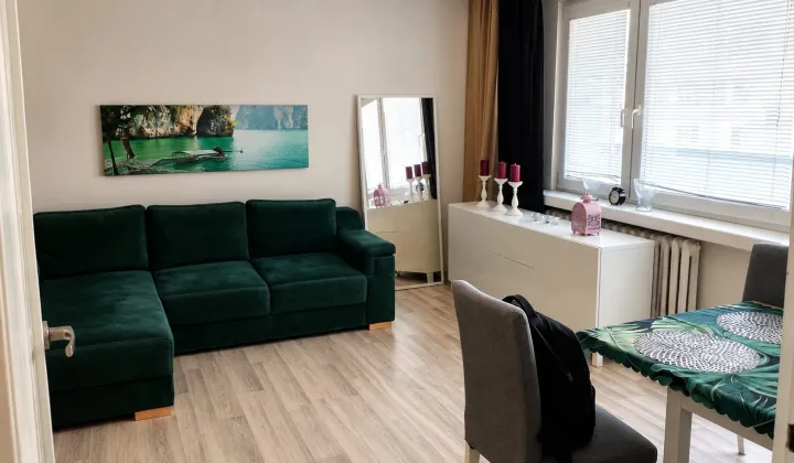 Mieszkanie 1-pokojowe Łódź Górna, ul. Piesza