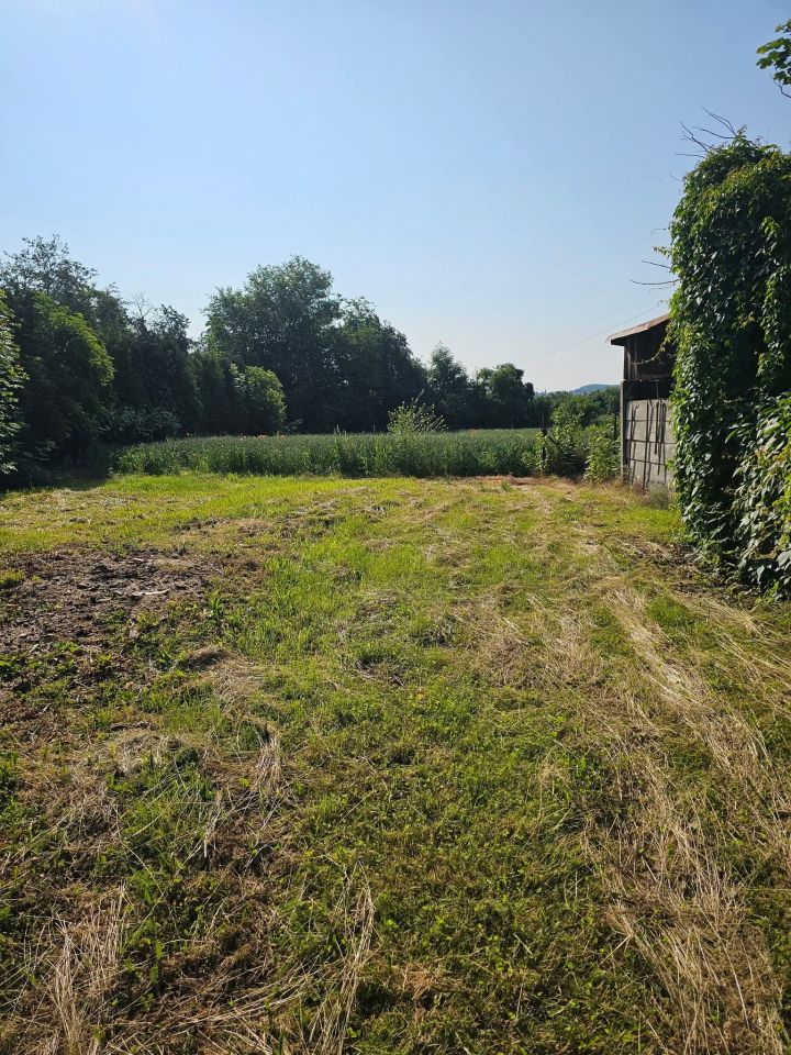 Hala/magazyn Racibórz Płonia, ul. Sudecka. Zdjęcie 3