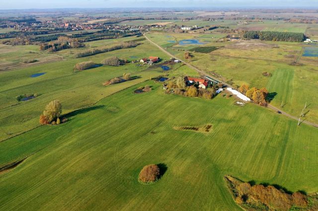 Działka rolna Rogóż. Zdjęcie 1