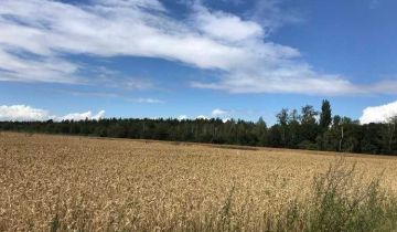Działka rekreacyjna Poznań Głuszyna