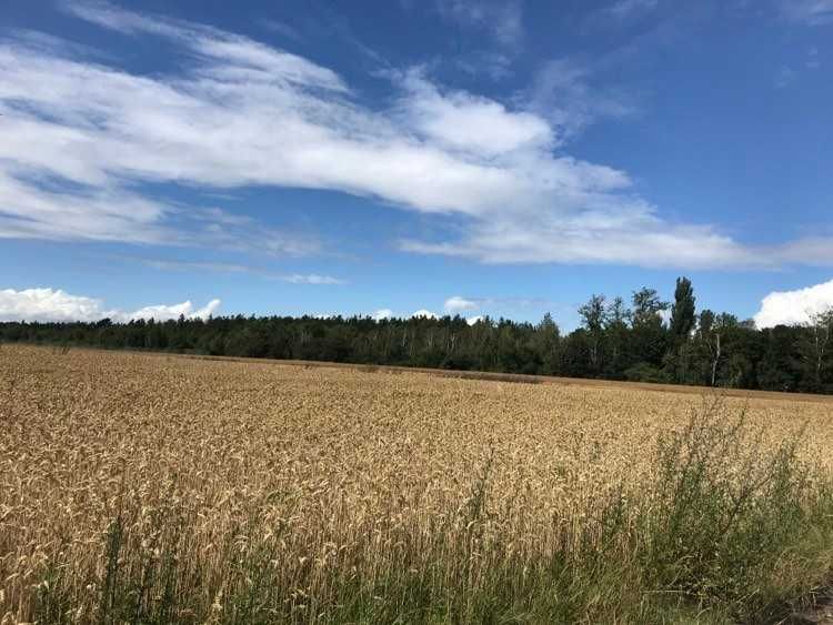 Działka rekreacyjna Poznań Głuszyna