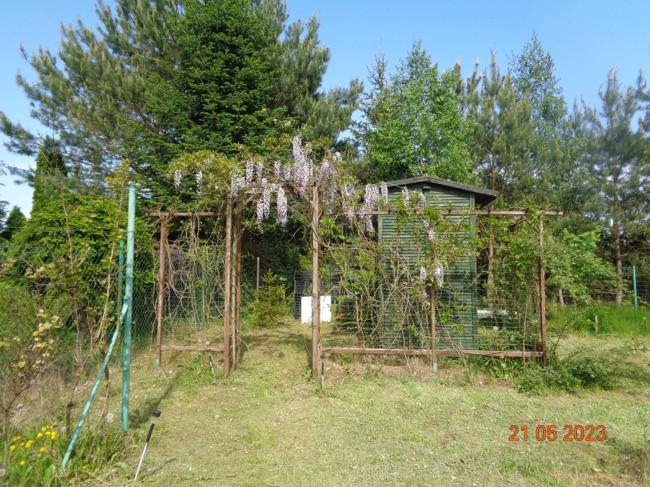 Działka rekreacyjna Grzybowo. Zdjęcie 10