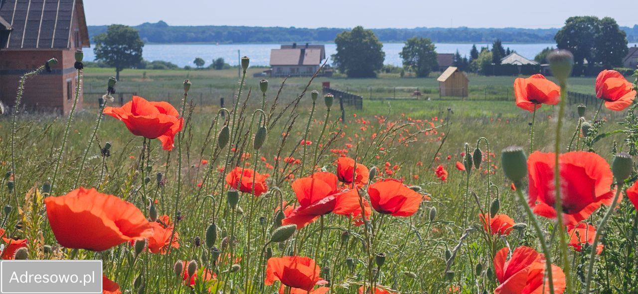 Działka rolno-budowlana Powidz, ul. Widokowa. Zdjęcie 16