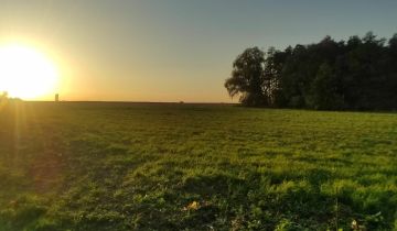 Działka budowlana Zalesie Barcińskie