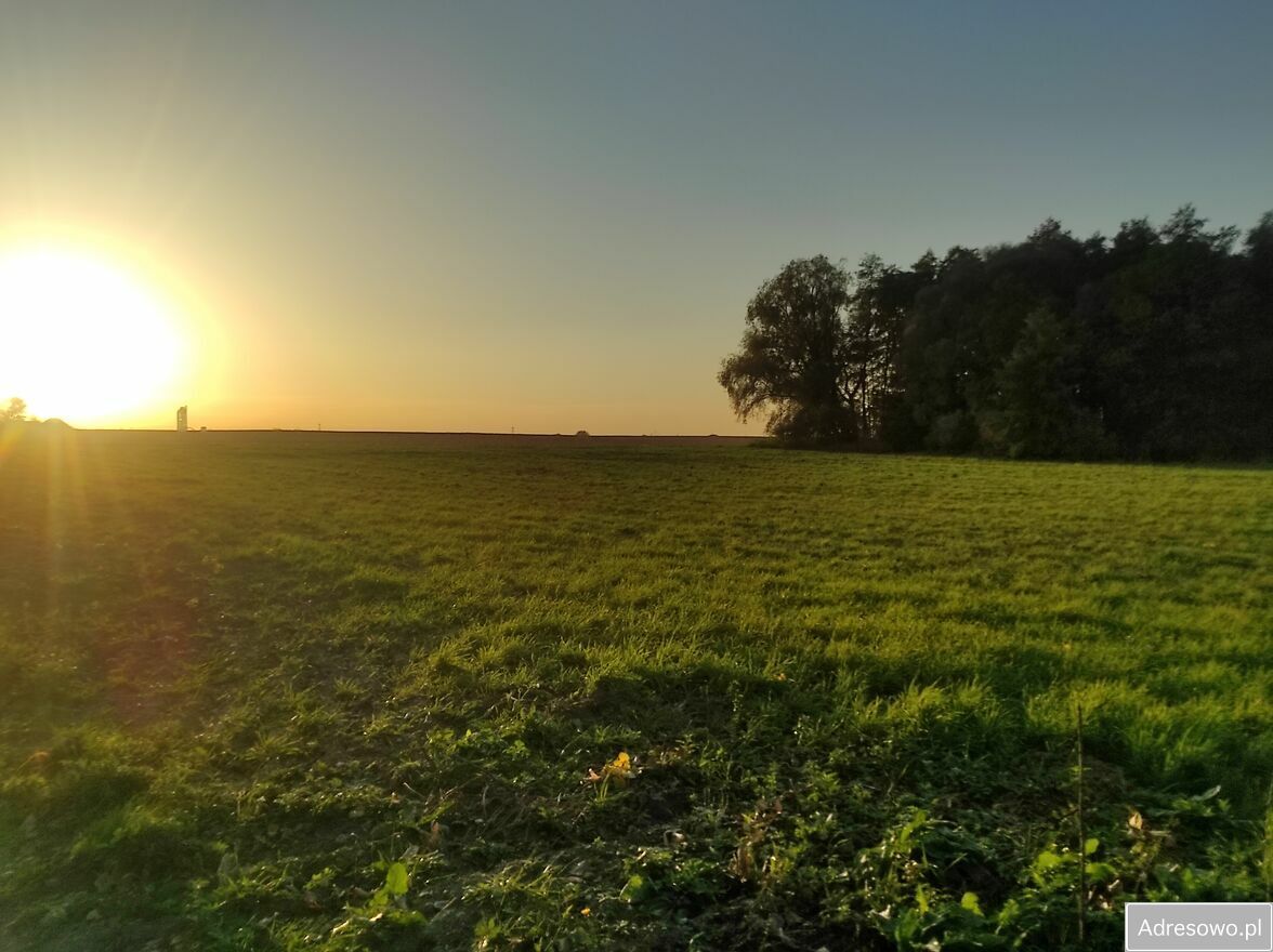 Działka budowlana Zalesie Barcińskie. Zdjęcie 2