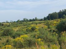 Działka rolno-budowlana Marcinkowo. Zdjęcie 4