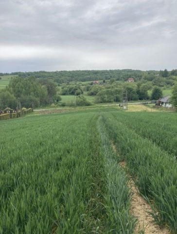 Działka rolno-budowlana Poręba Spytkowska, ul. Graniczna. Zdjęcie 1