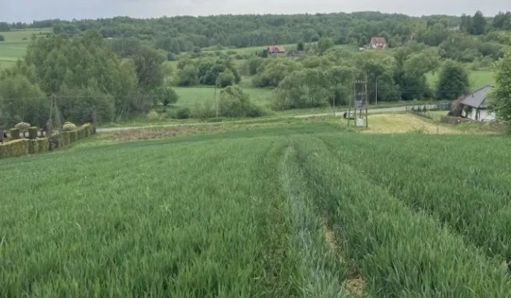Działka rolno-budowlana Poręba Spytkowska, ul. Graniczna