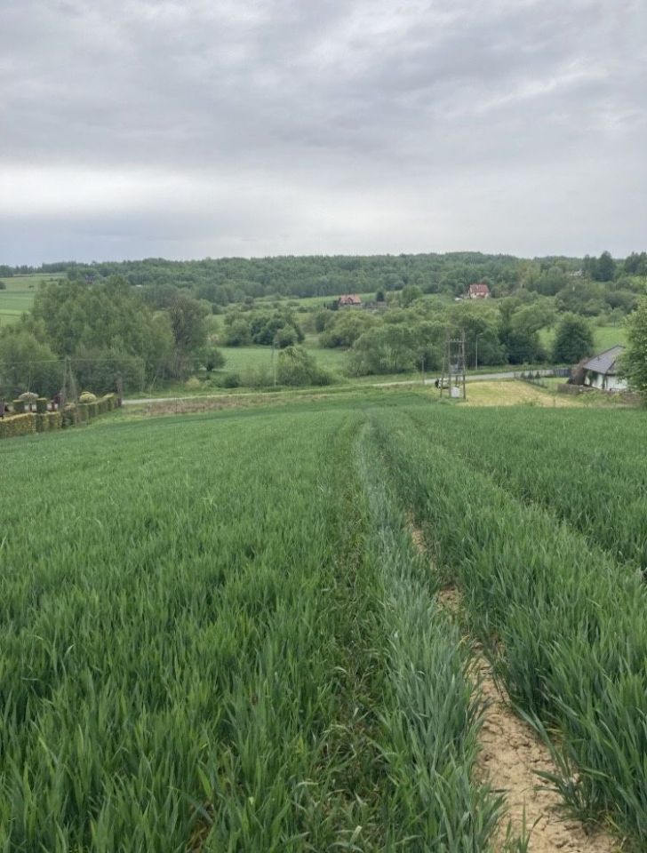 Działka rolno-budowlana Poręba Spytkowska, ul. Graniczna. Zdjęcie 1