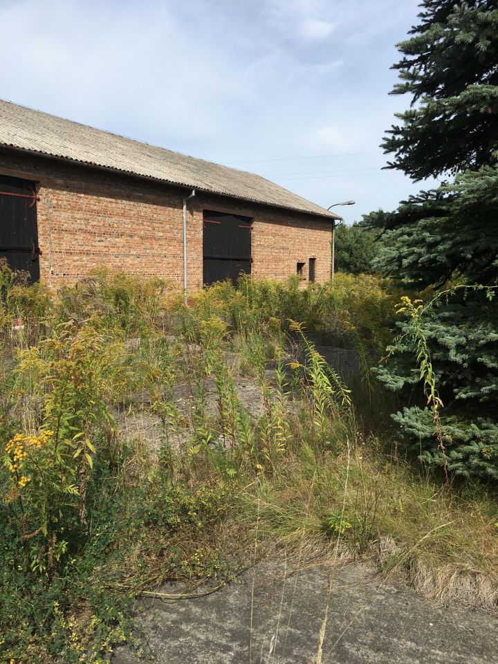 Działka budowlana Gołków Gołków-Cegielnia, ul. Gołkowska. Zdjęcie 15