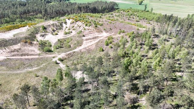 Działka budowlana Chwarzno Kozia. Zdjęcie 8