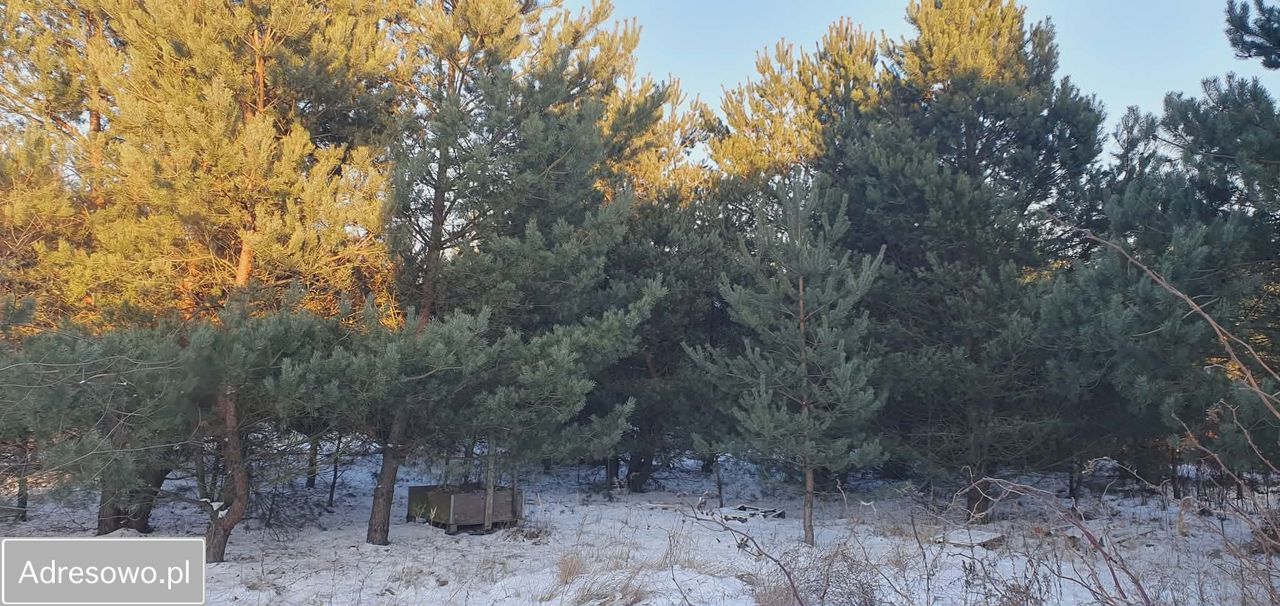 Działka budowlana Łochowo, ul. Władysława Reymonta. Zdjęcie 4