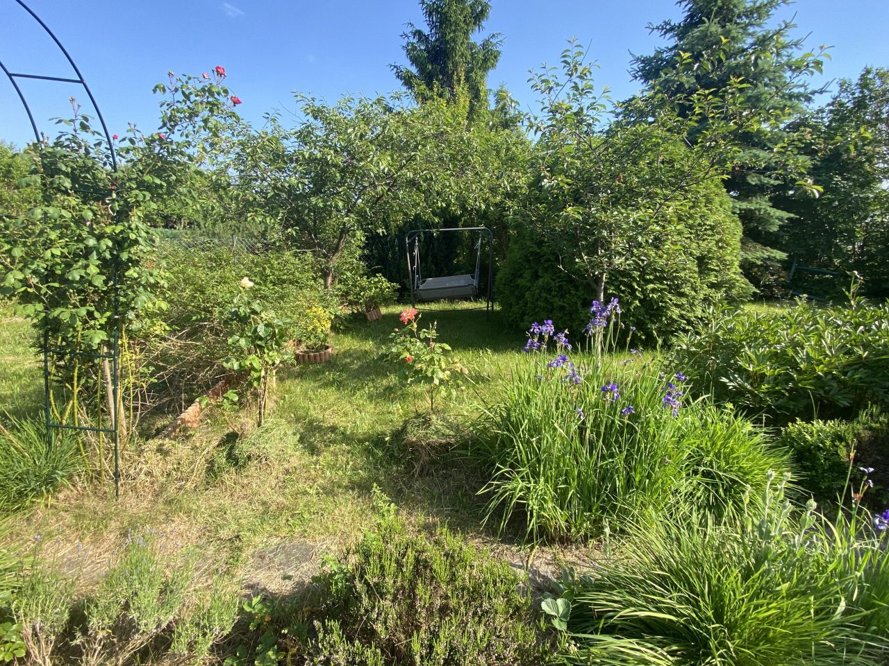 Działka rod Gdynia Mały Kack, ul. Grodnieńska. Zdjęcie 38