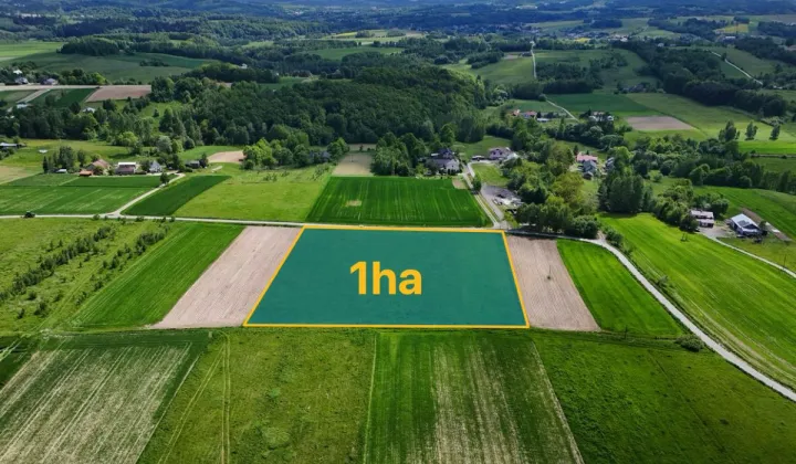 Działka budowlana Czermna