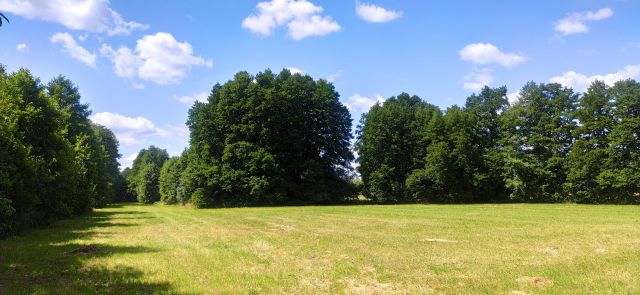 Działka rolna Chwalęcice, ul. Topolowa. Zdjęcie 1