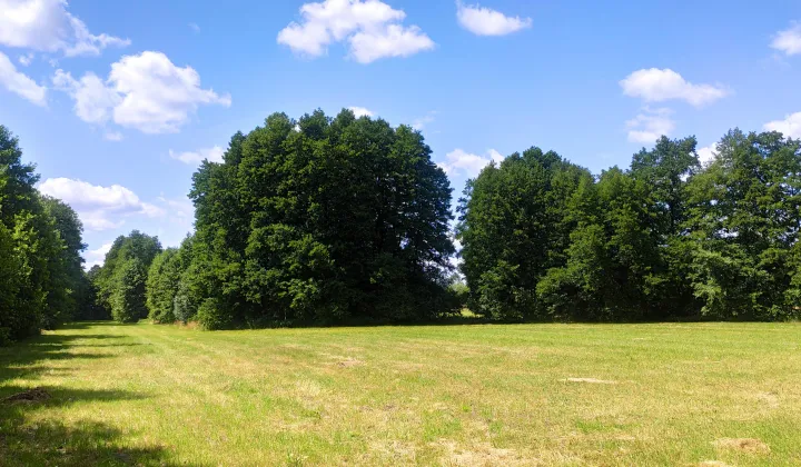Działka rolna Chwalęcice, ul. Topolowa