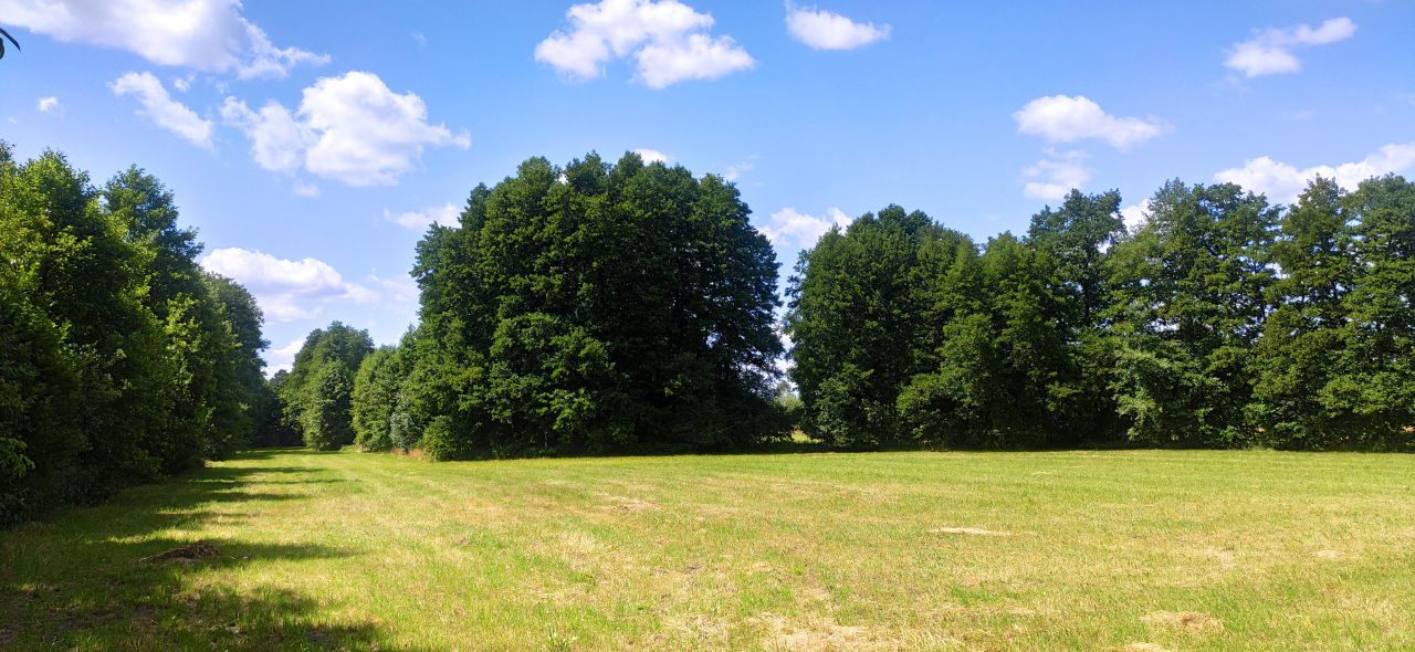 Działka rolna Chwalęcice, ul. Topolowa