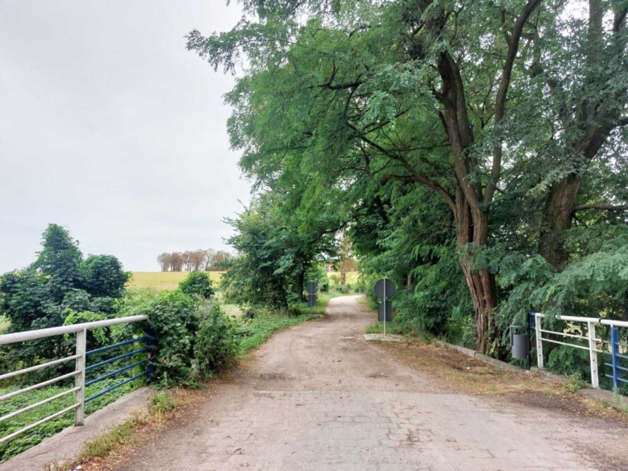 Działka rekreacyjna Mieścisko. Zdjęcie 6