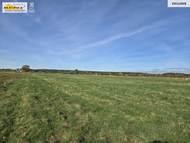 Działka rolna Dobra, ul. Dereszowa. Zdjęcie 8